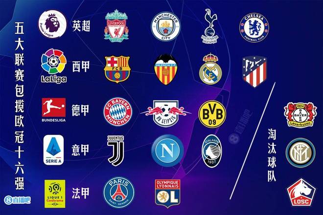 北美黑马 北美黑马